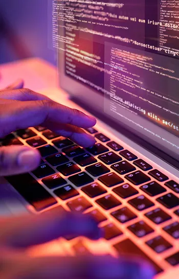 Web App Development