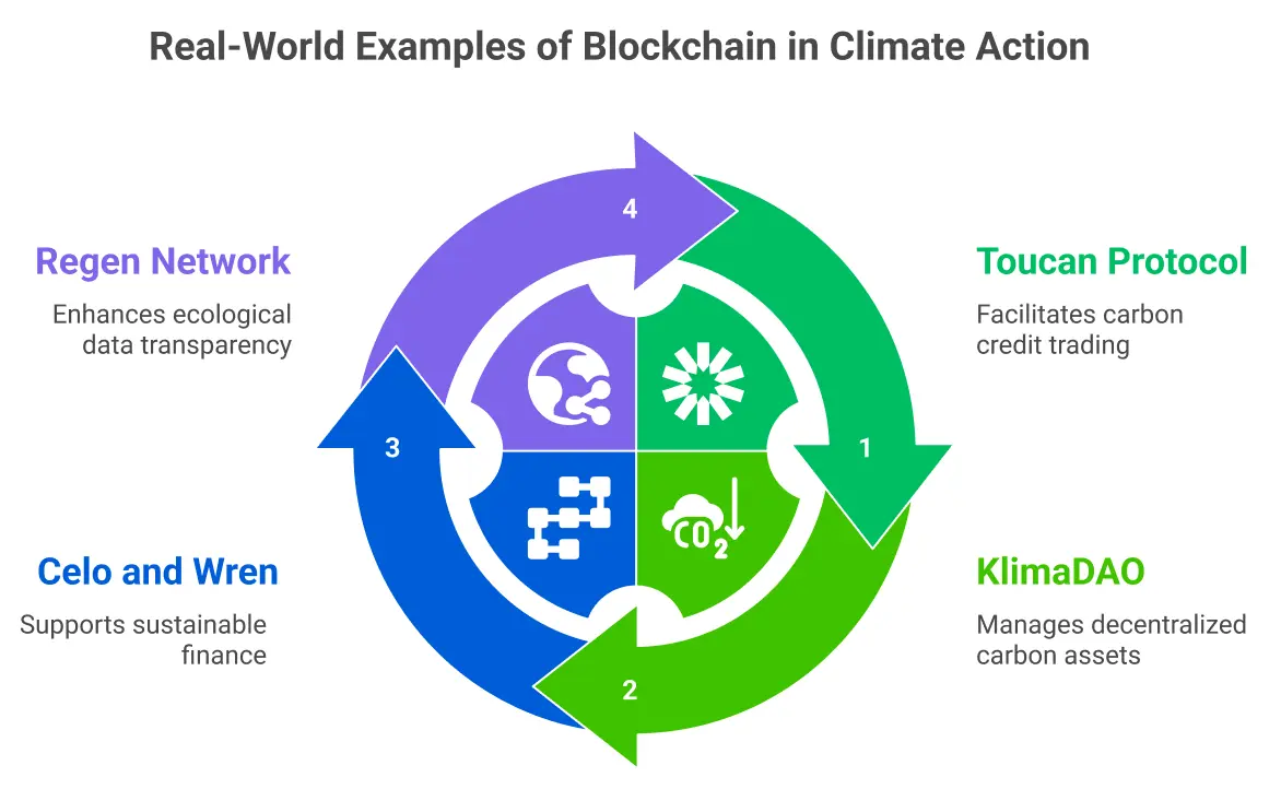Real-World Examples of Blockchain in Climate Action